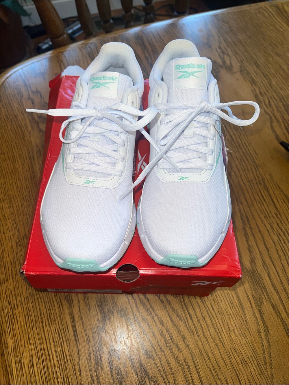 NWT Reebok Zig Dynamica sneakers